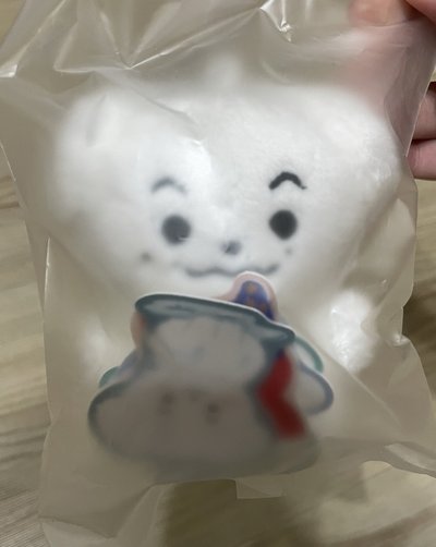 Anton 娃 長得跟小卡一樣的娃 