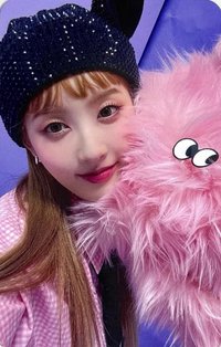 Teddy Bear am 幸運卡 