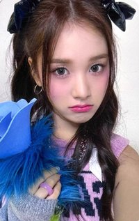 泰迪熊 am 幸運卡 