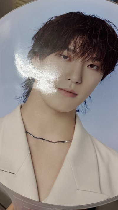 100%燦爛的DINO燦盤