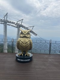 阿冰