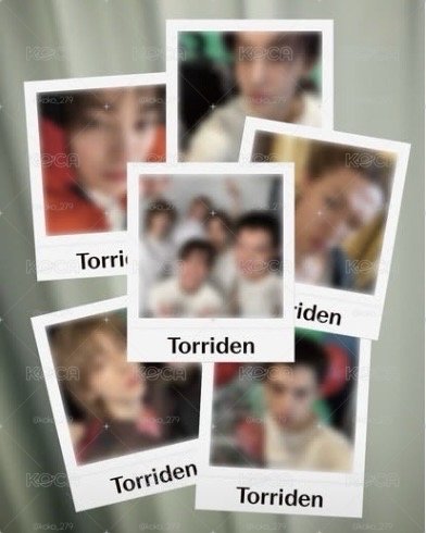 CORTIS Torriden 拍立得小卡組