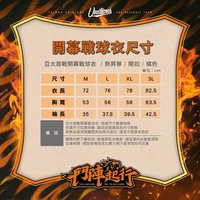 猛獅AAOA球衣