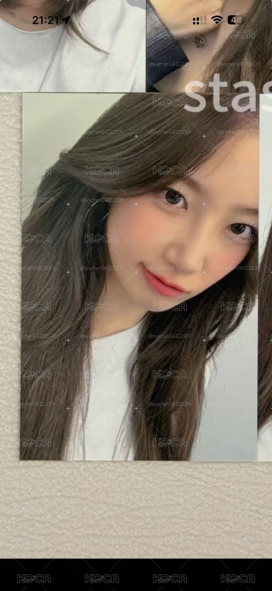 美巡粽葉