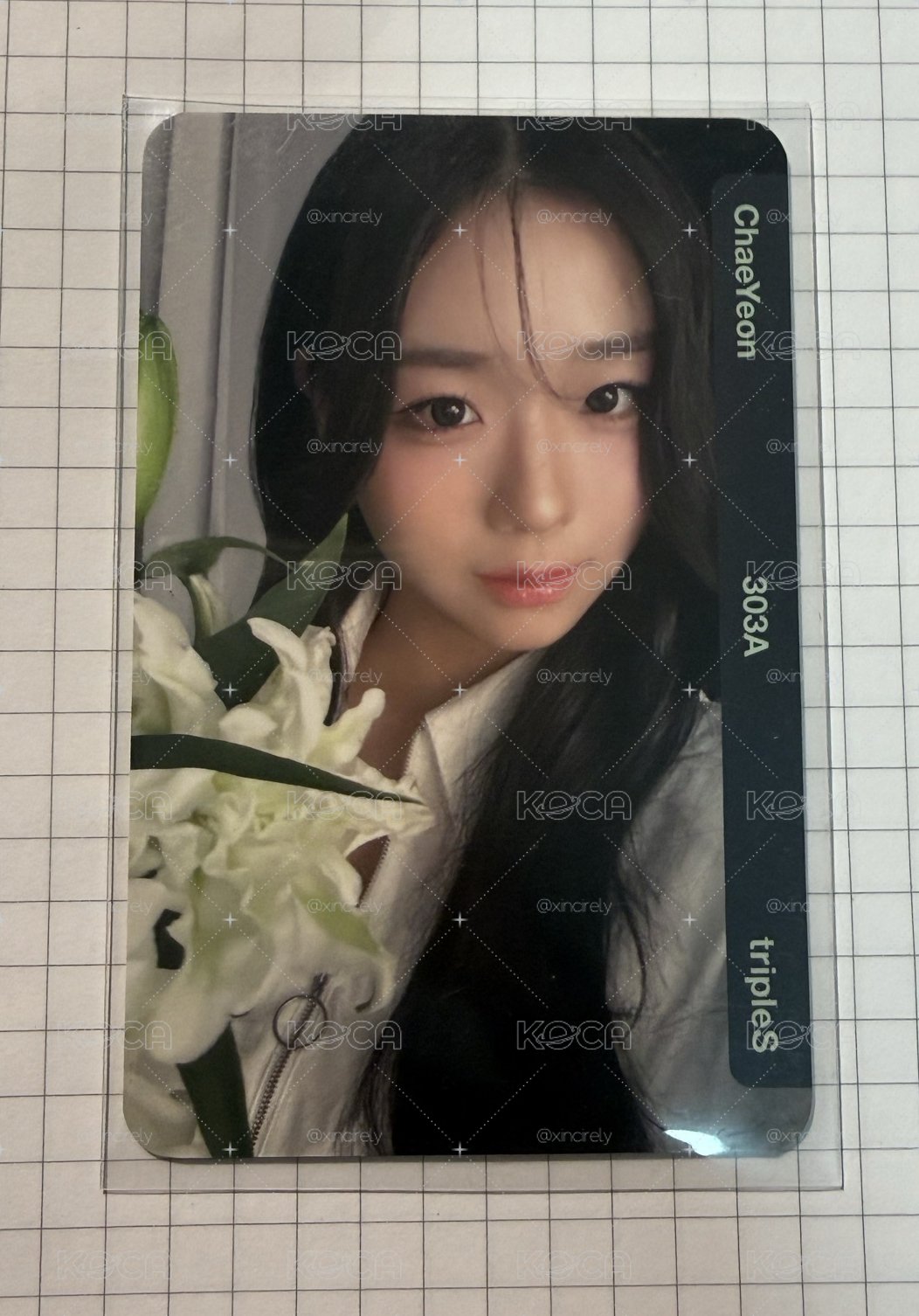彩嬿日專專卡