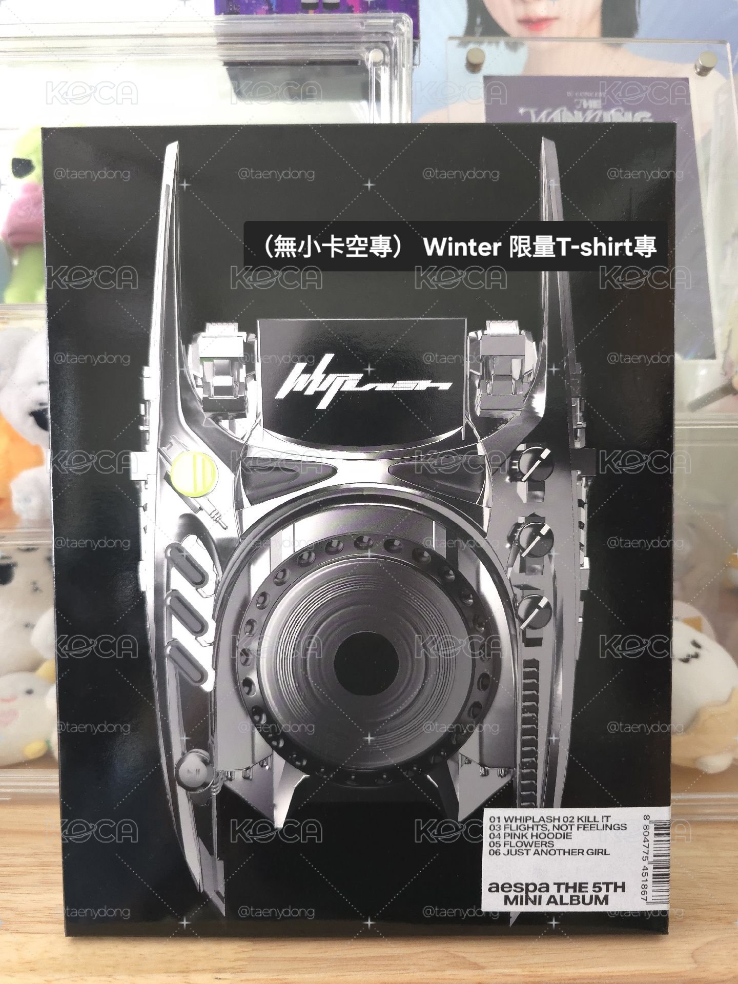 Whiplash 限量專 Winter版（空專）