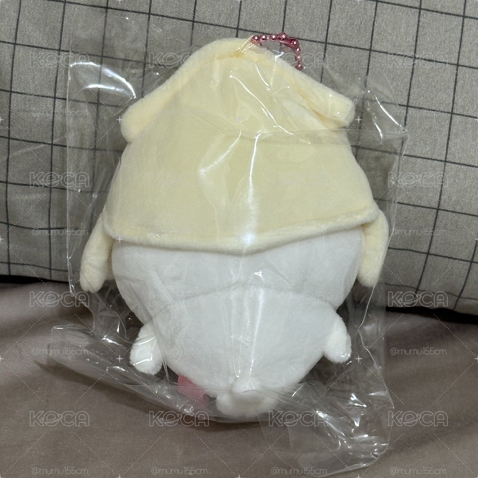 魷魚吉伊🦑