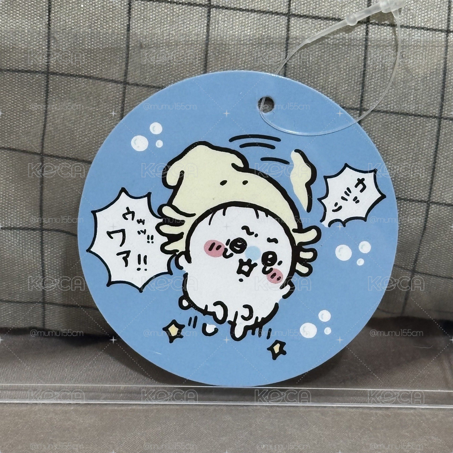 魷魚吉伊🦑