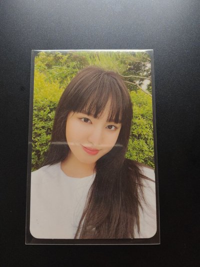 後愛藍版栗、愛河紅版栗