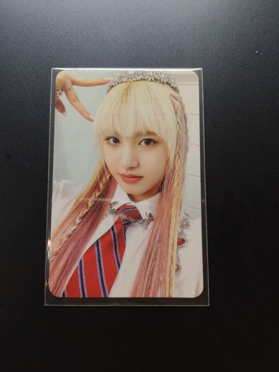 後愛藍版栗、愛河紅版栗