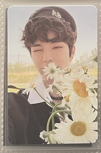 max專卡2（有2）