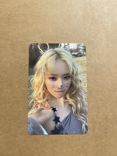 正規一 專輯卡 ZINE版冬 貓咪冬