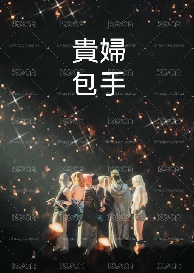 貴婦包手