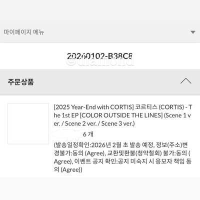 嚴成玹 MP年末 ｜整圖出