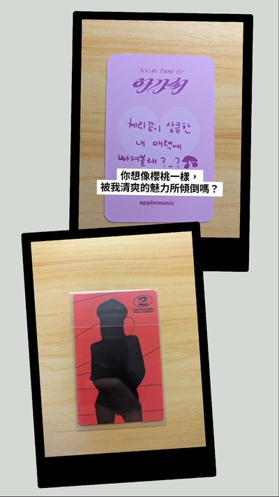 【十元一標】碎花迷你盤 第二彈