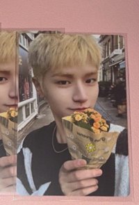 #有袋子的花/沒花/白色的花