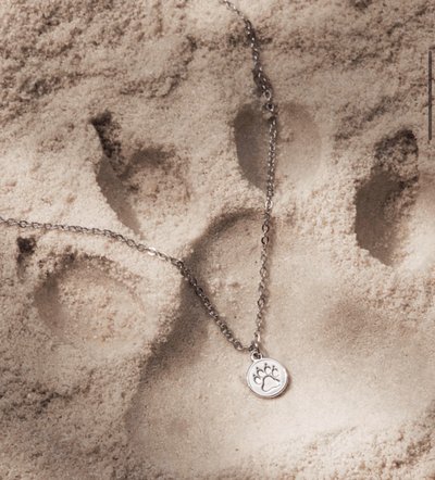 9週年項鍊-Hoshi 全新未拆