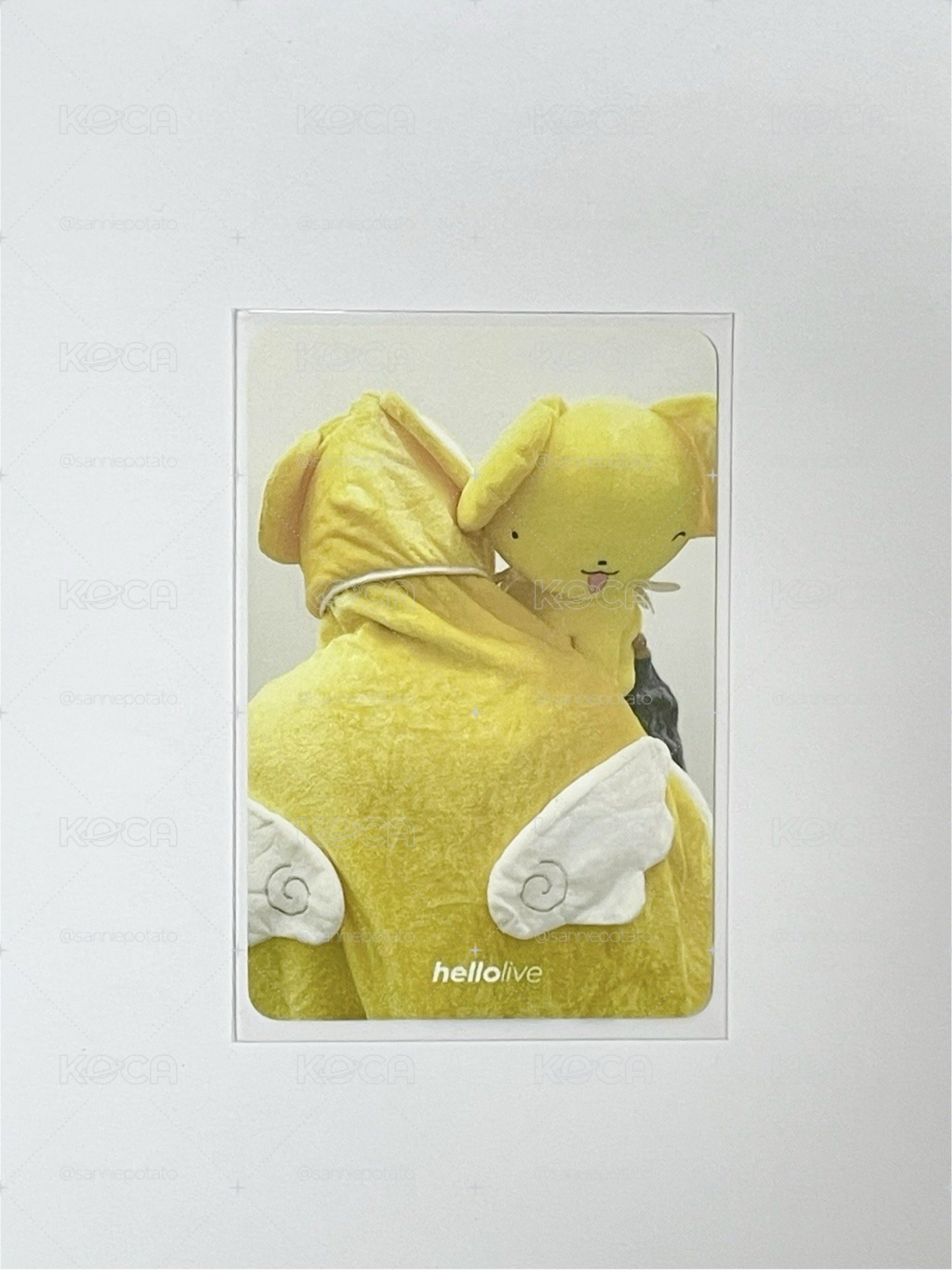 小可榮💛🪽