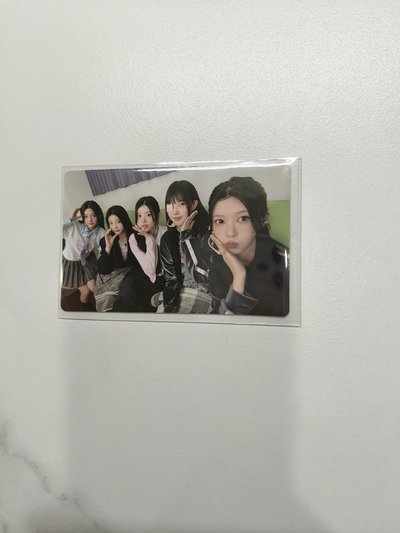 ⚪NOT CUTE ANYMORE dingo 團卡 特典卡 