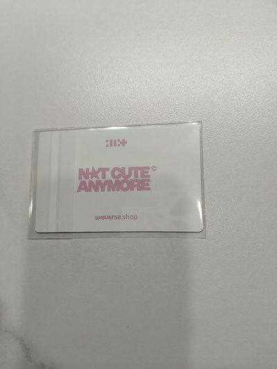 ⚪NOT CUTE ANYMORE dingo 團卡 特典卡 
