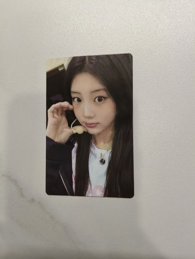 🔴NOT CUTE ANYMORE dingo 特典卡 