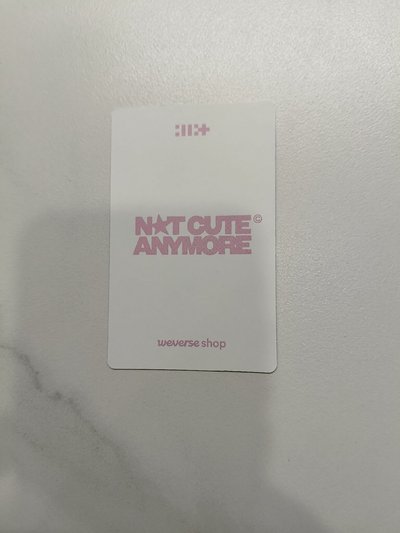 🔴NOT CUTE ANYMORE dingo 特典卡 