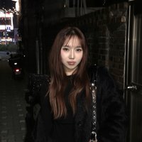 吳是溫的盤子狗