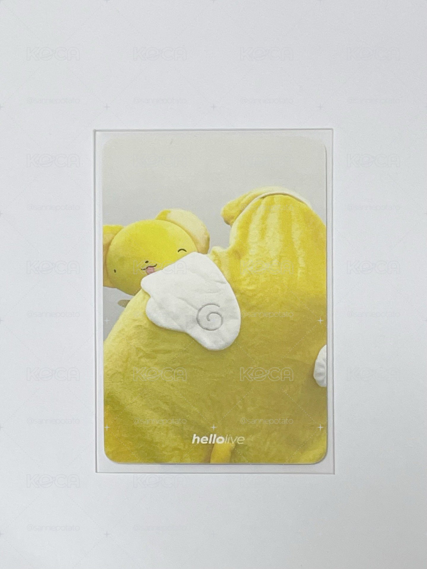 小可傘💛🪽