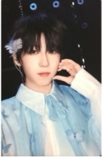 肆意 家族單人A款 周邊卡 