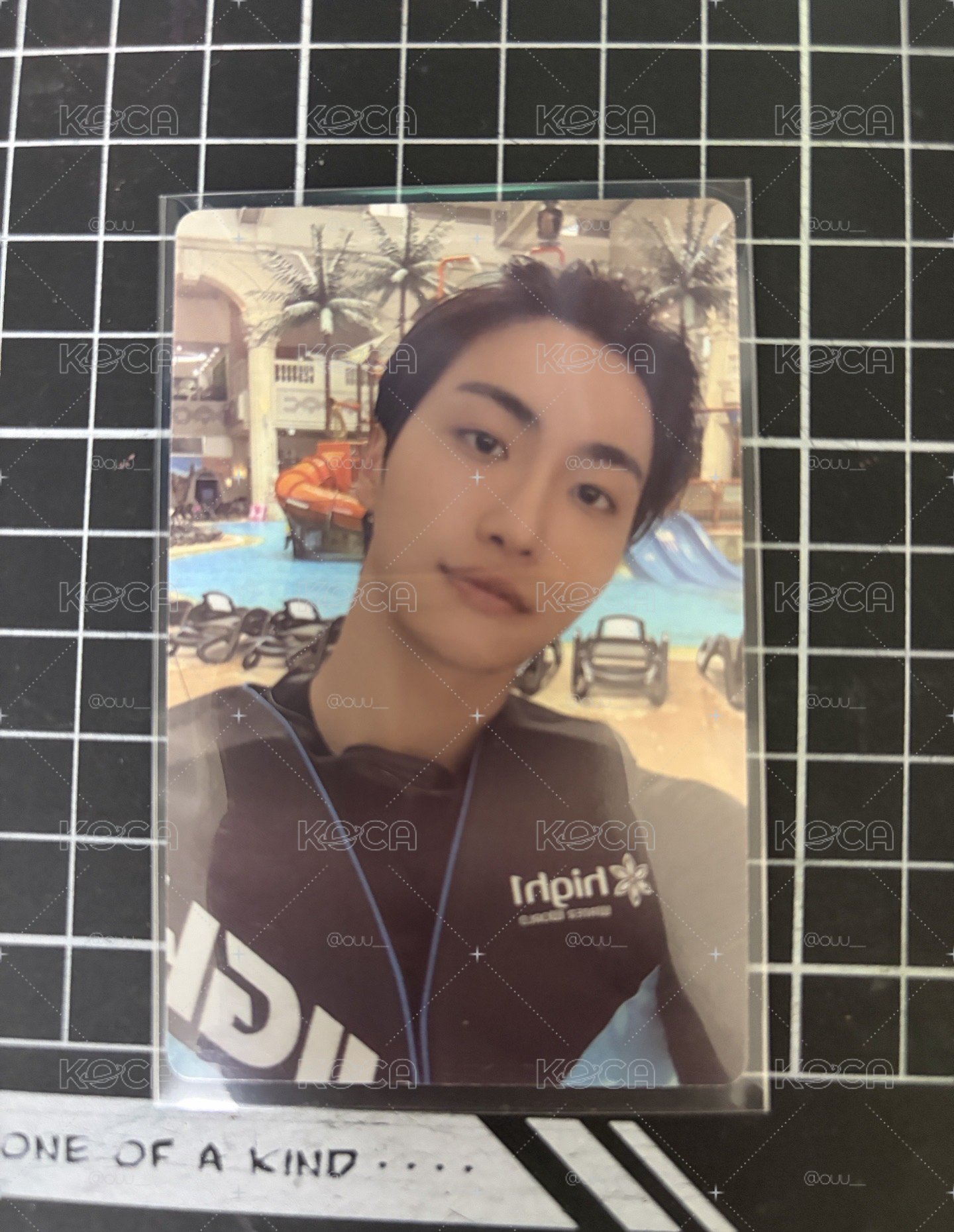 泳池星