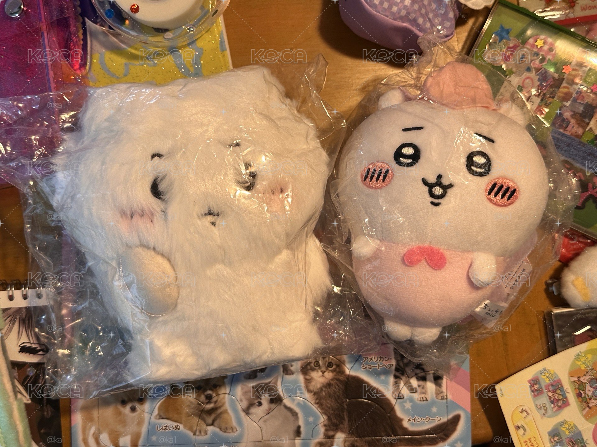 吉伊S娃