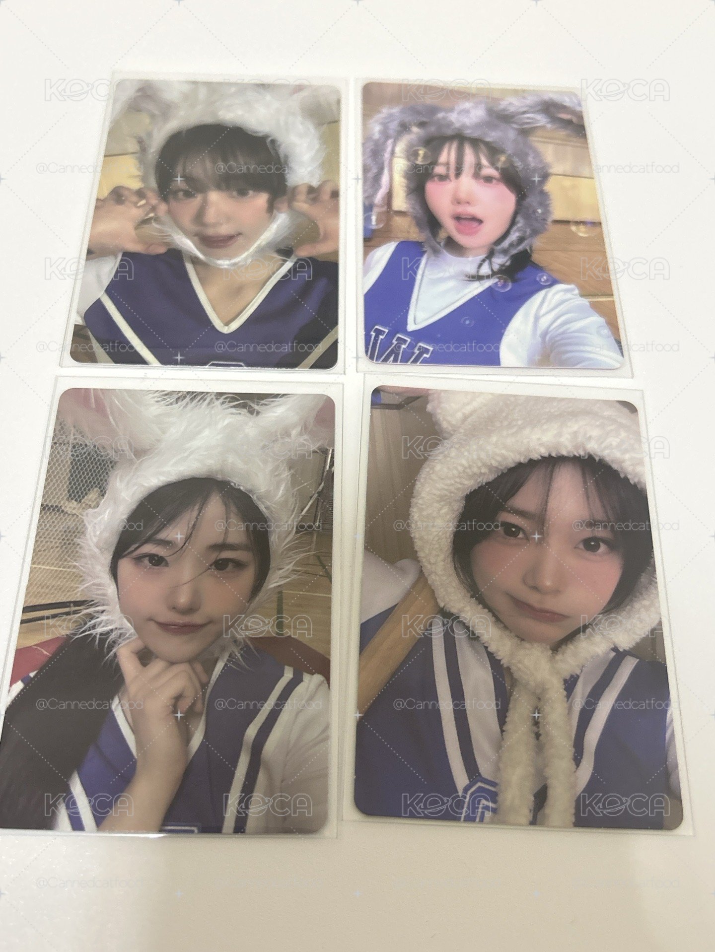 迷一專卡一套