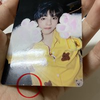 銘貓掌（瑕如圖