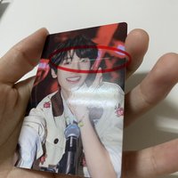 左紅背（瑕如圖