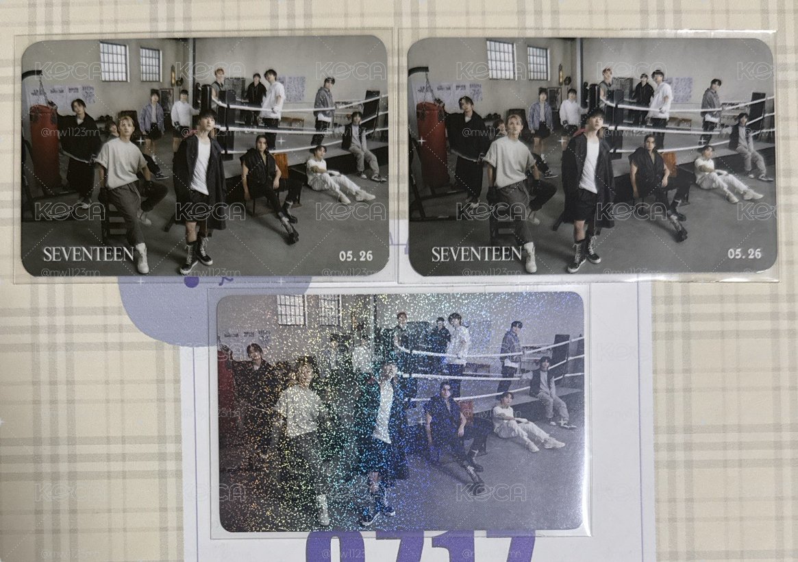 seventeen mini10 團卡