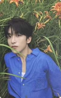 So Figaro A版 雜誌卡 大片小卡