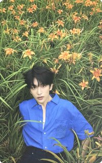 So Figaro B版 雜誌卡 大片小卡