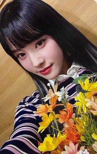 泰迪熊 ms 特典卡 