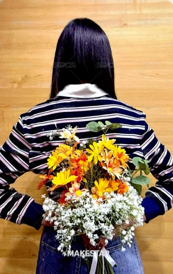 泰迪熊 ms 特典卡  背面