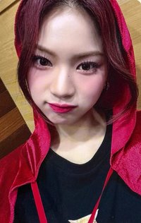 Teddy Bear ms 1.0 特典卡 小紅帽ver.