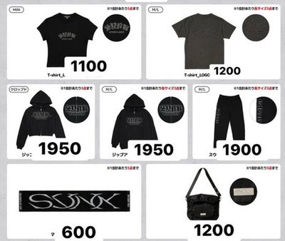 ［預購］ 親自帶回 先私訊 AESPA日場周邊