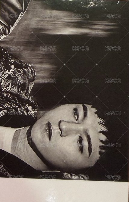 迷五 一般專 專輯卡 雙人卡 背面