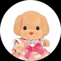 玩具貴賓狗家族