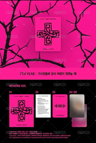 TXT 迷八 角巴兔版 套出