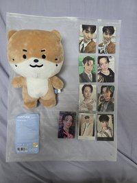 李燦Dino 站娃與9張小卡合售