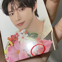 劉拿花（瑕如圖