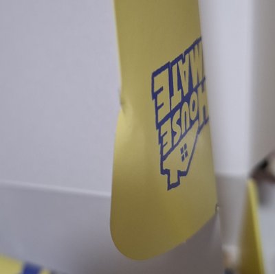 TWS 2025 Deco Kit 僅拆檢近全新