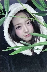 Ice Cream ms 1.0 幸運卡 熊貓