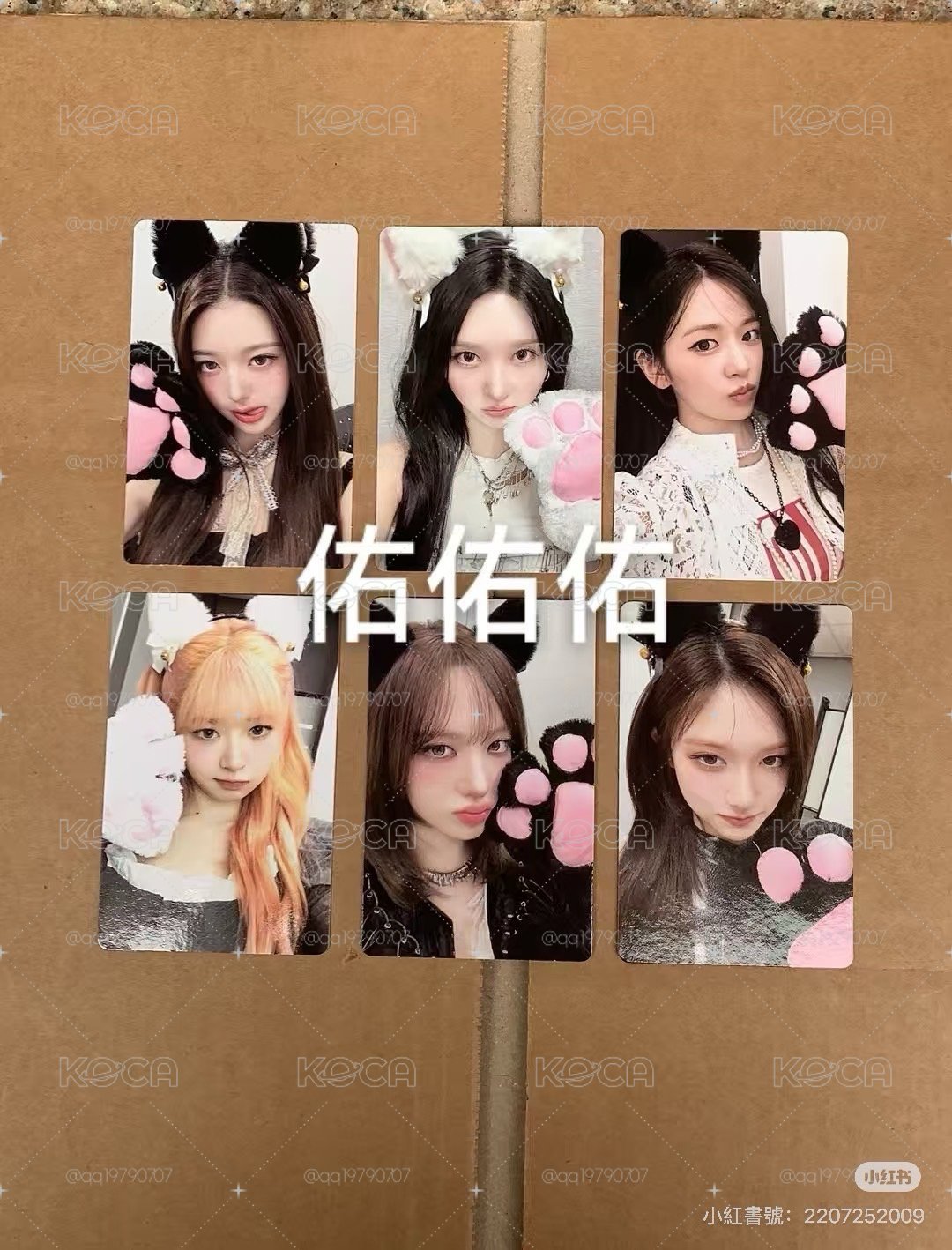 貓抓怜非現
