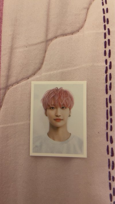 3期會員禮的粉毛星含證件照